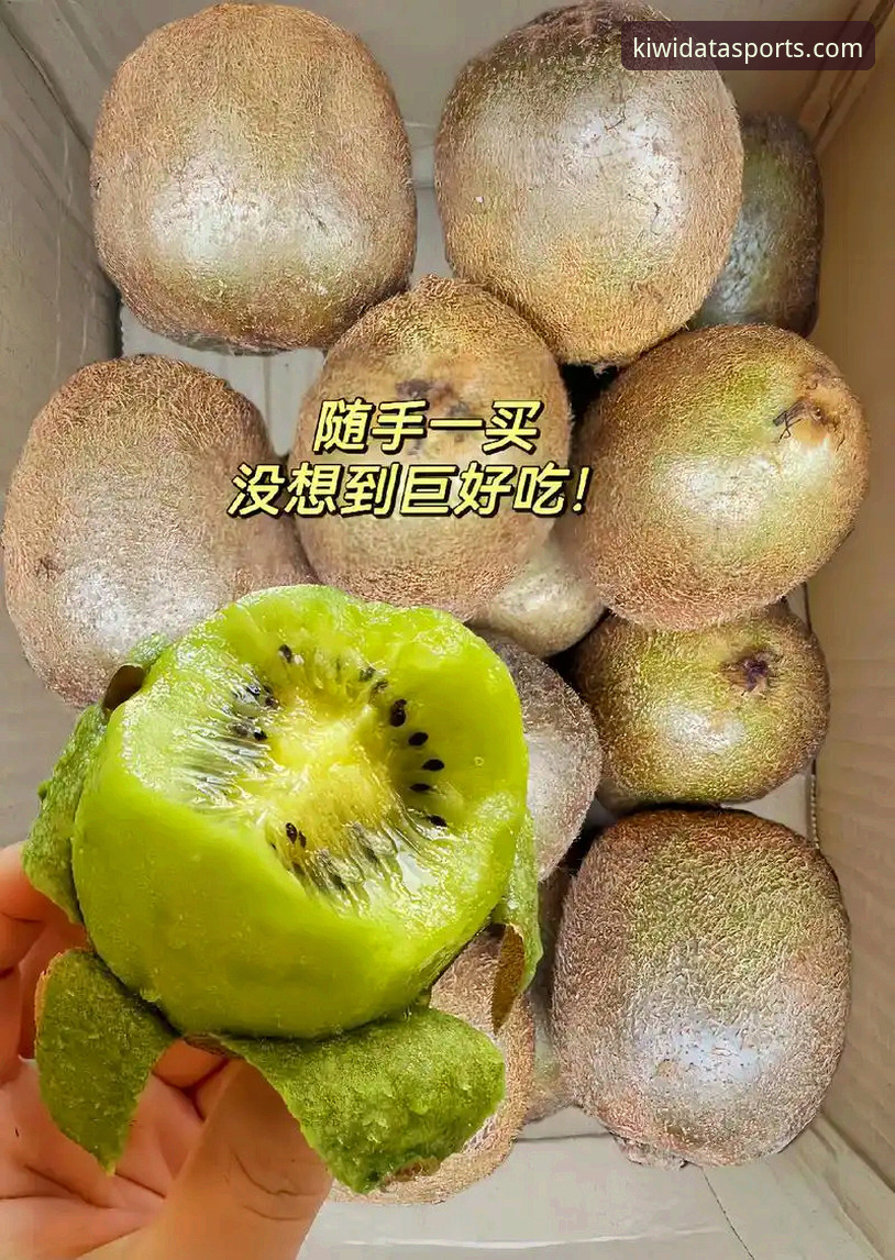 奇异果体育合法吗2026最新版本 奇异果体育合法吗2026最新版本 vs 旧版本:老用户实测对比与经验分享