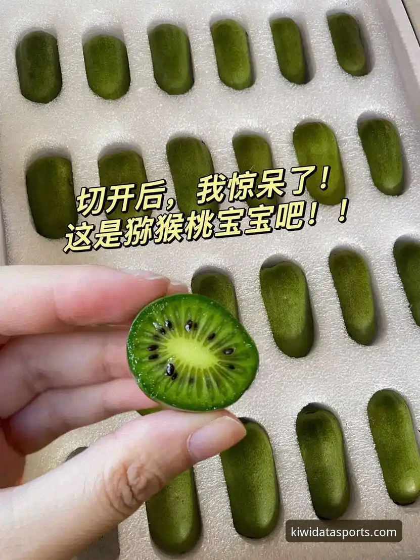 奇异果体育专业数据手机版 揭秘奇异果体育专业数据手机版:你不知道的实时赛事分析秘籍