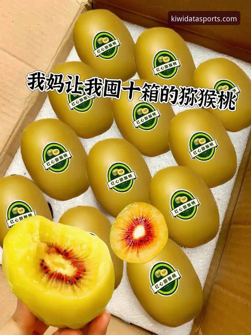 奇异果体育深度分析 为什么奇异果体育深度分析能成为运动数据爱好者的首选工具?