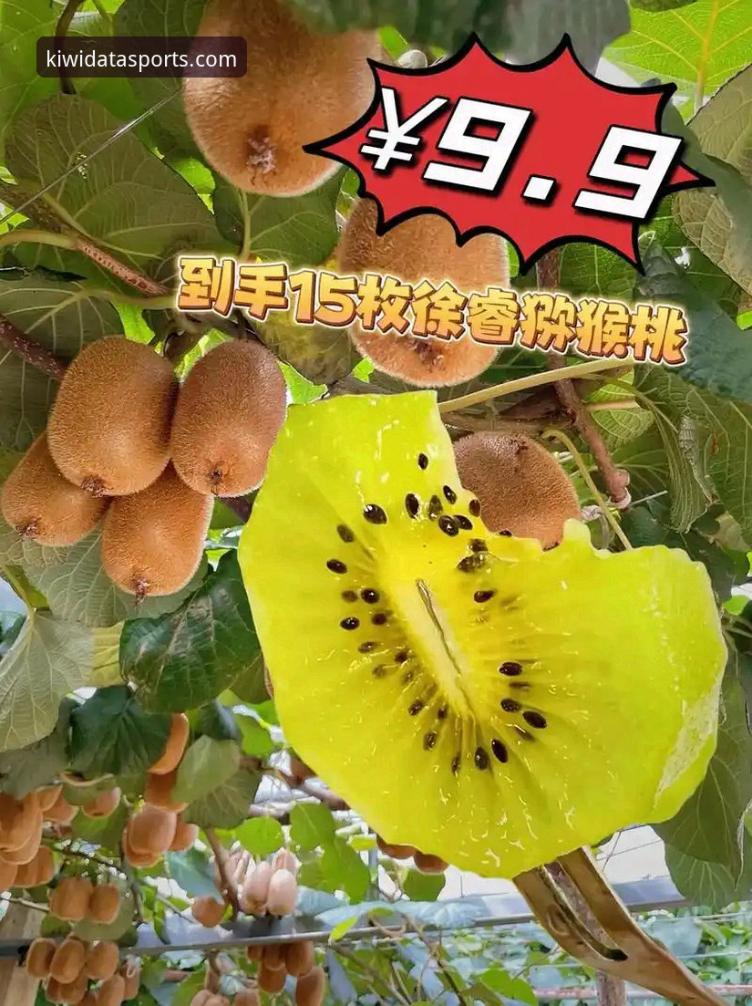 奇异果体育平台怎么样 奇异果体育平台怎么样?2025年深度评测:数据能力与使用体验全面解析