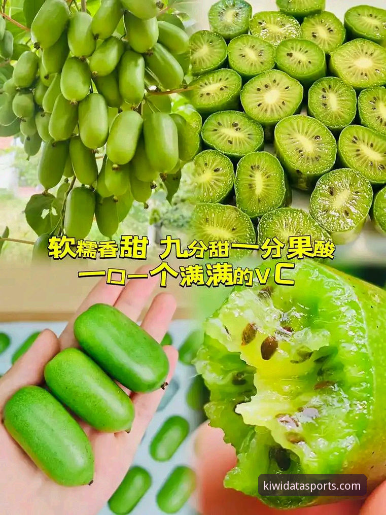 奇异果体育专业数据手机版 揭秘奇异果体育专业数据手机版:你不知道的实时赛事分析秘籍